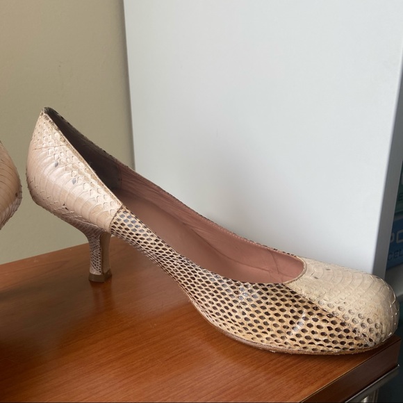 MaxStudio.com Snakeskin Kitten Heeled Shoe - Picture 6 of 9